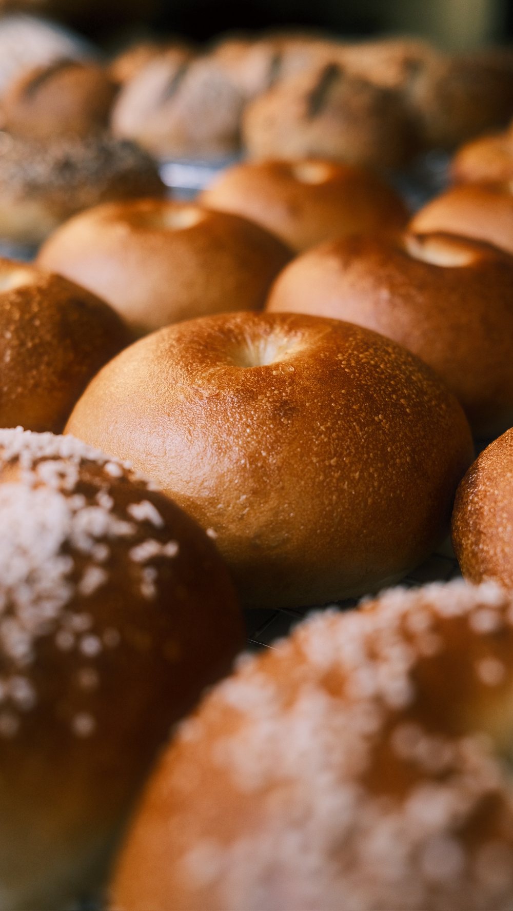 Golden sourdough bagels